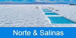 clubbeneficios-norteysalinas-turismo2